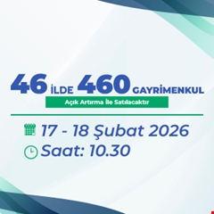 46 İlde 460 Gayrimenkul Müzayedesi